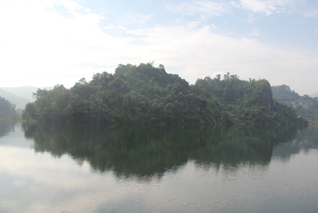 人工种植海南黄花梨有没有价值？汇生林业诈骗告诉你